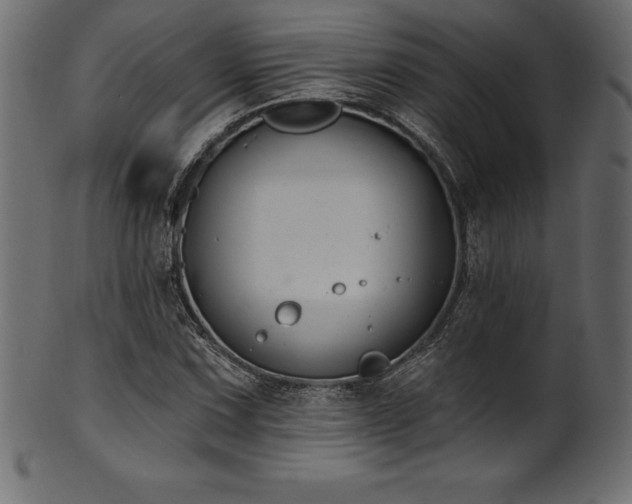 X0000102041067200807181507