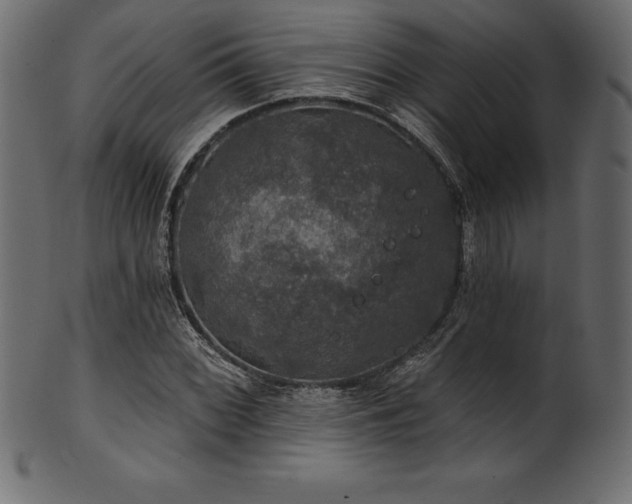 X0000102041068200807181507