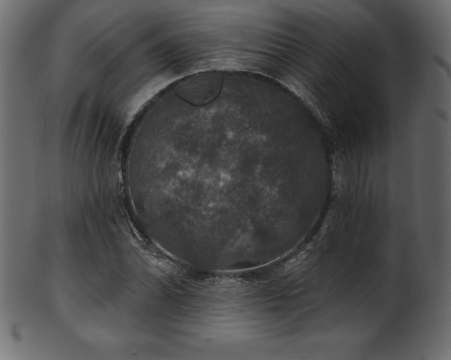 X0000102041070200807181507