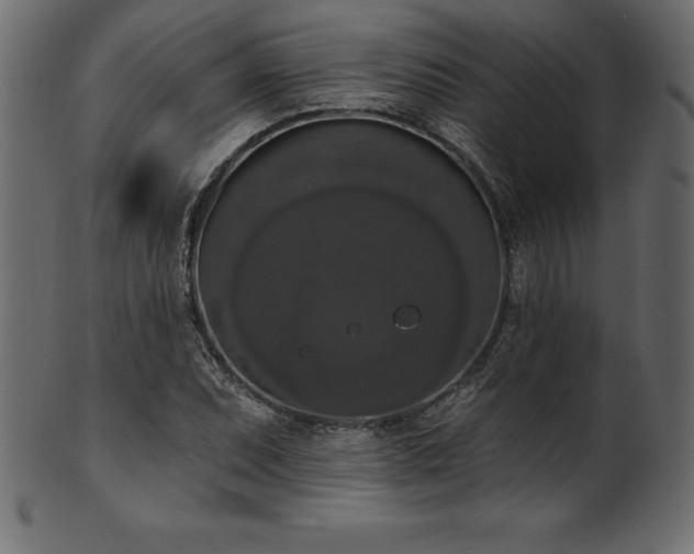 X0000102041071200807181507