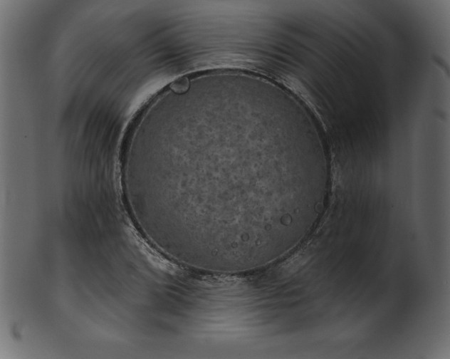 X0000102041072200807181507