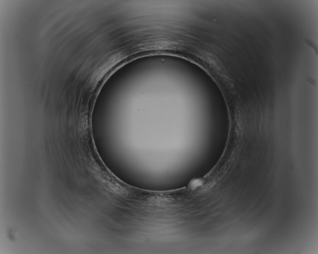 X0000102041073200807181507