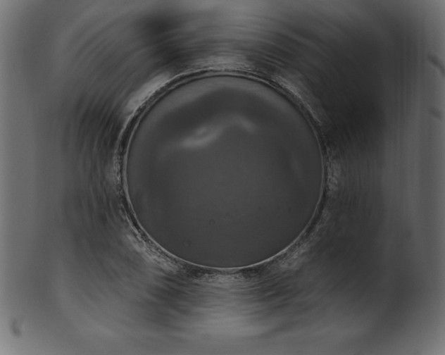X0000102041074200807181507