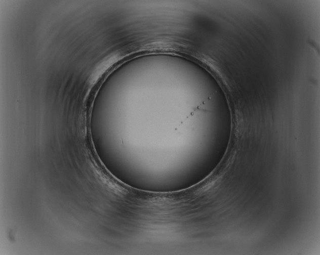 X0000102041075200807181507