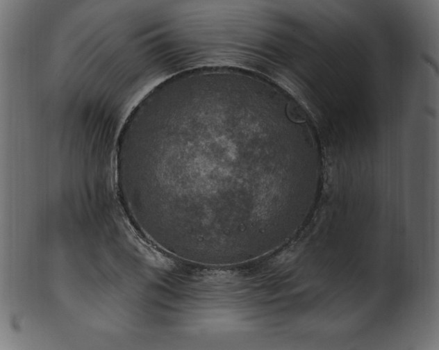 X0000102041076200807181507