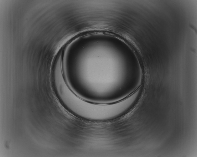 X0000102041077200807181507