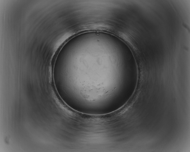X0000102041079200807181507