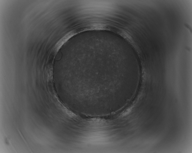 X0000102041081200807181507