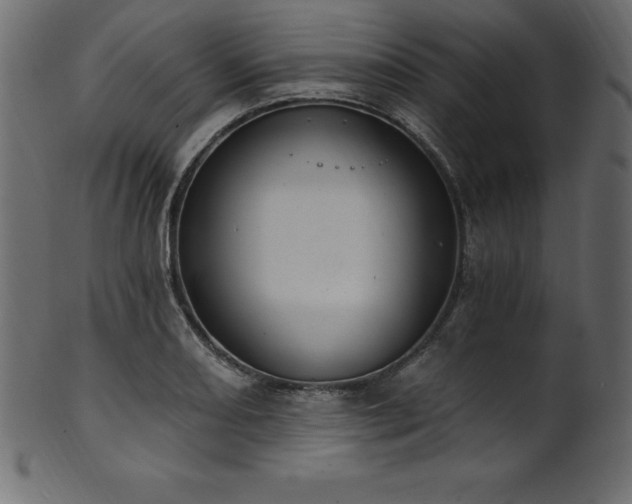 X0000102041082200807181507