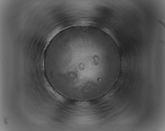 X0000102041083200807181507