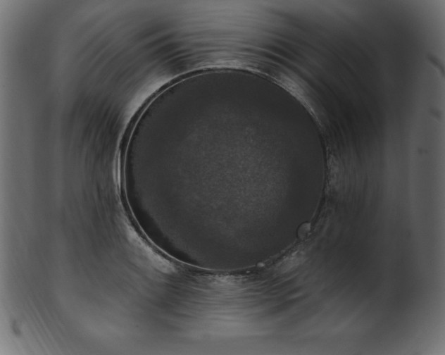 X0000102041084200807181507