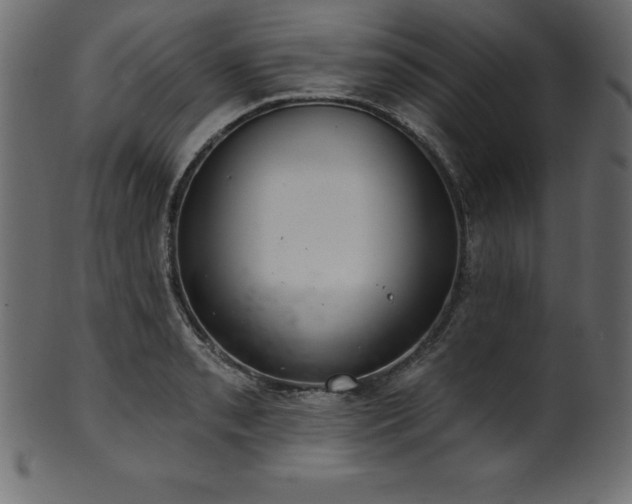 X0000102041085200807181507