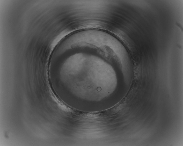 X0000102041086200807181507