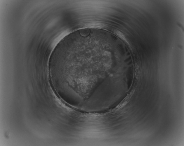 X0000102041087200807181507