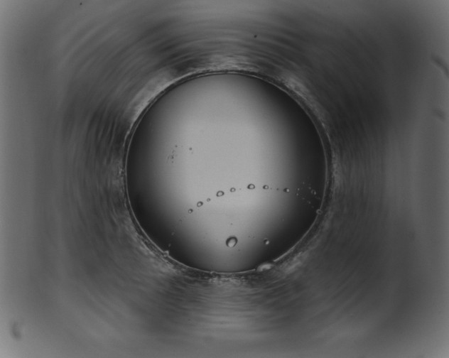 X0000102041089200807181507