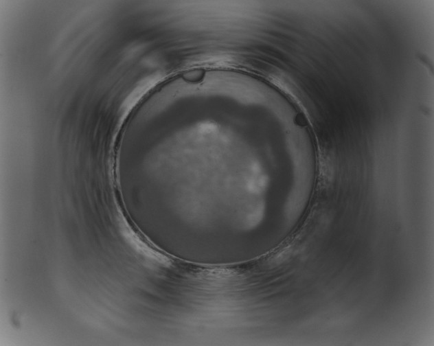 X0000102041090200807181507