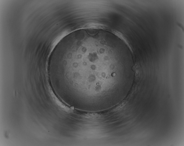 X0000102041091200807181507