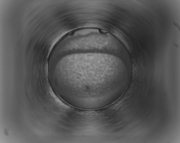 X0000102041092200807181507