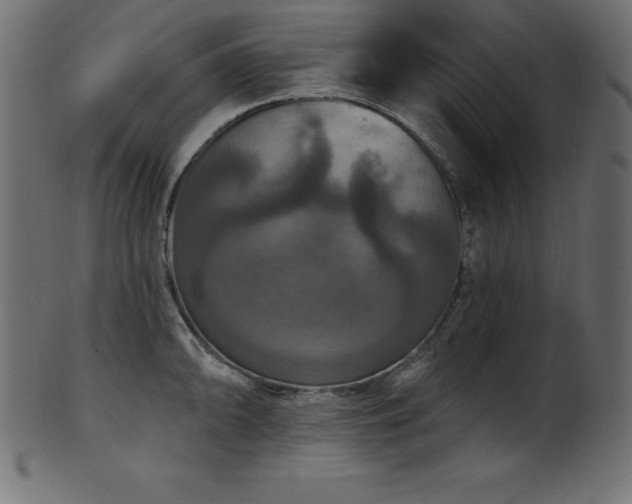 X0000102041094200807181507