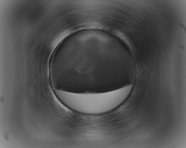 X0000102041095200807181507