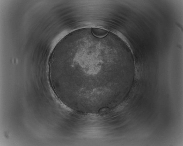 X0000102041096200807181507