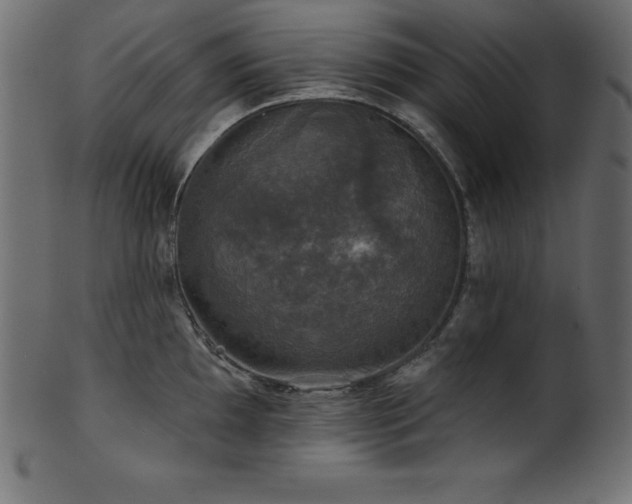 X0000102041097200807181507