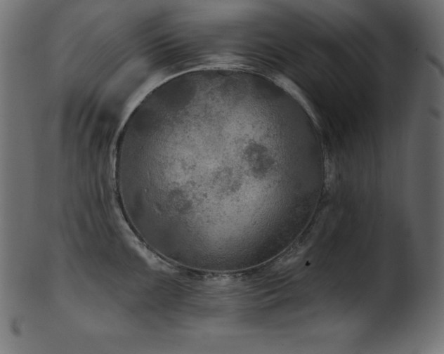 X0000102041099200807181507