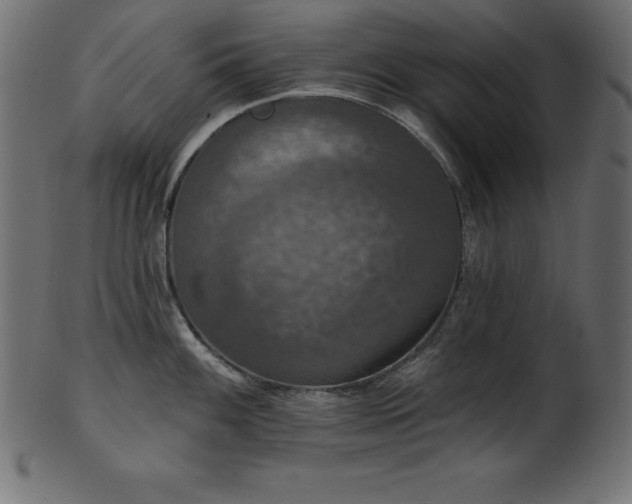 X0000102041100200807181507