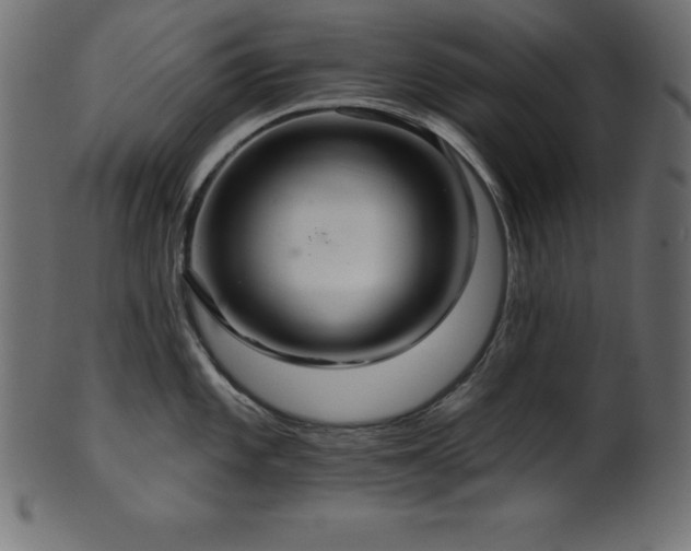 X0000102041101200807181507