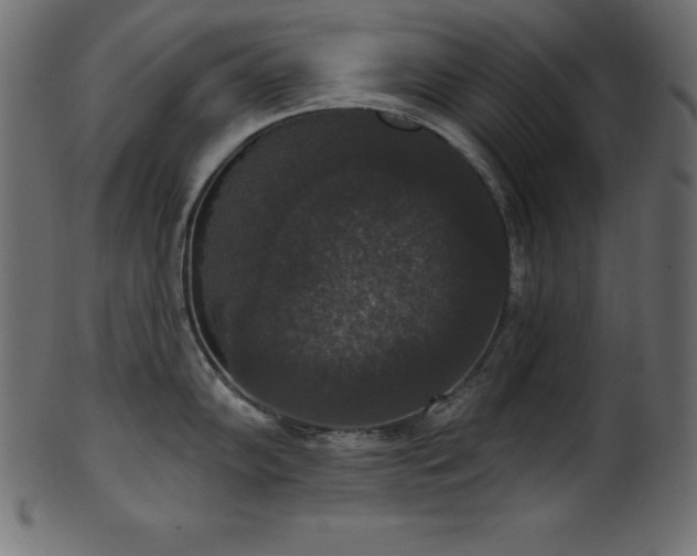 X0000102041102200807181507