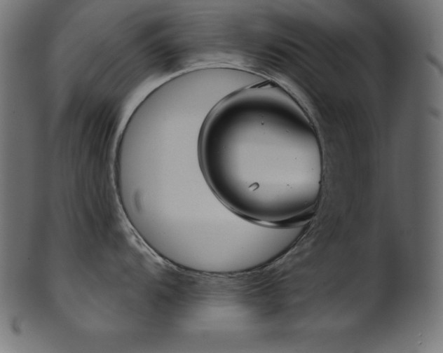 X0000102041104200807181507