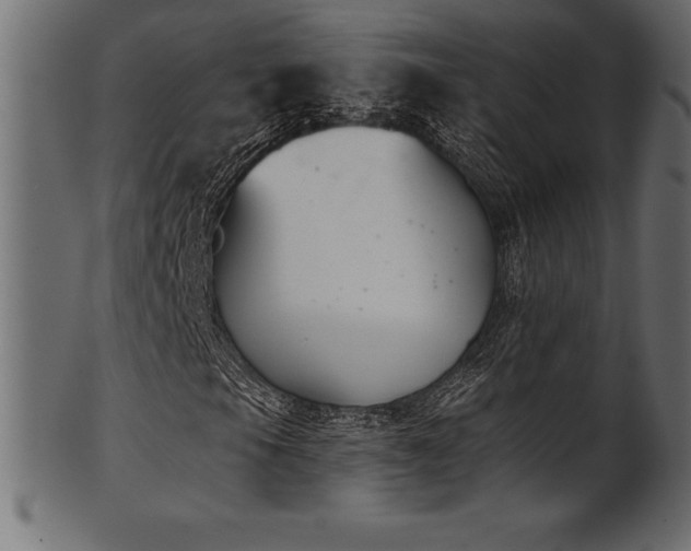 X0000102041105200807181506