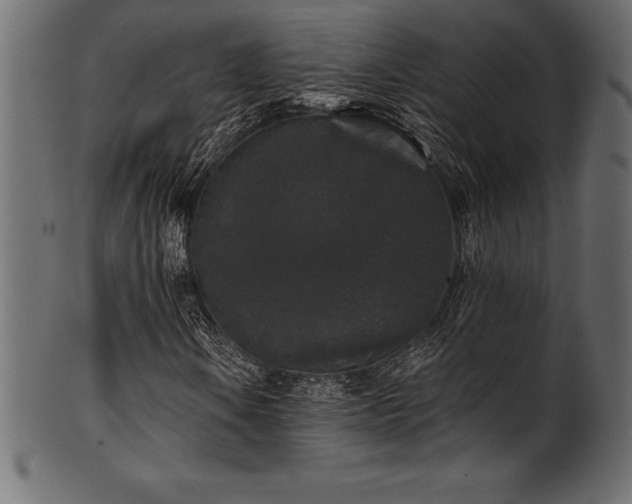 X0000102041106200807181506