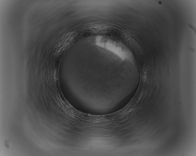 X0000102041108200807181506