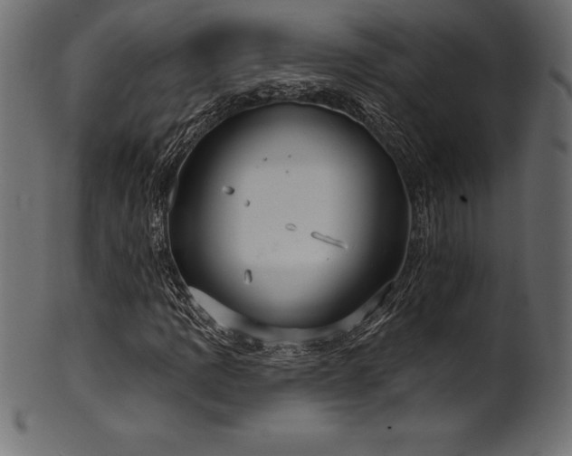 X0000102041109200807181506