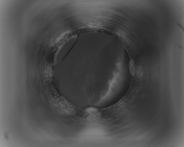 X0000102041110200807181506