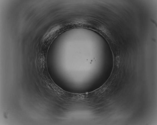 X0000102041111200807181506
