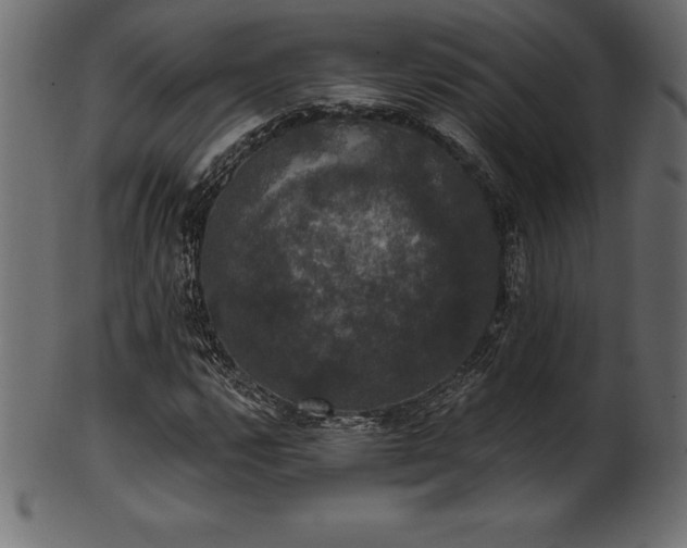 X0000102041112200807181506