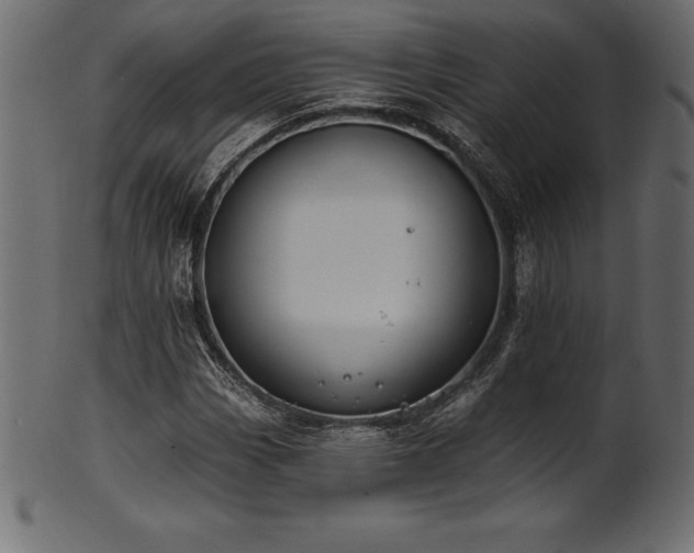 X0000102041113200807181506