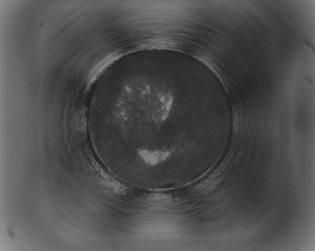 X0000102041115200807181506