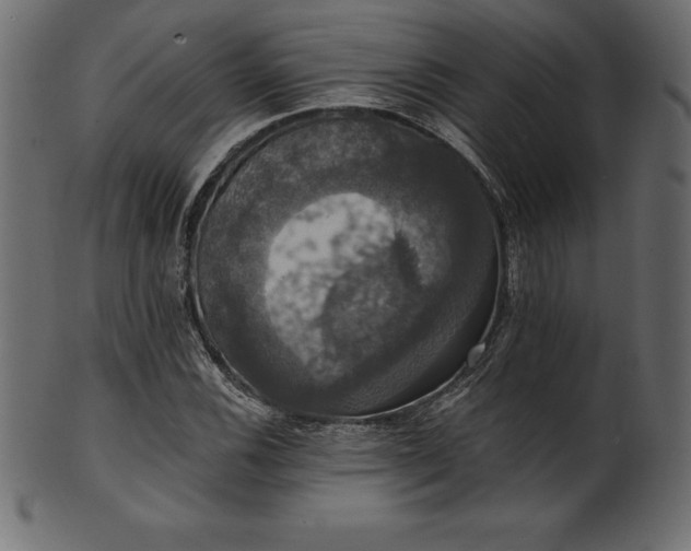 X0000102041116200807181506