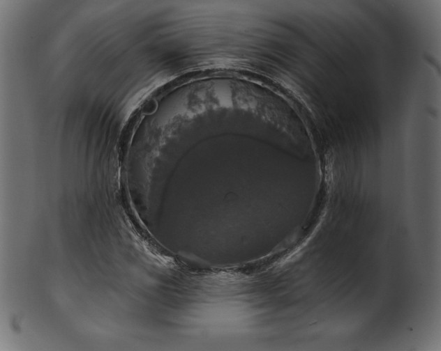 X0000102041117200807181506