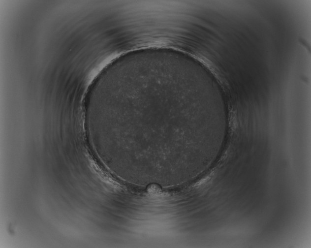X0000102041118200807181506