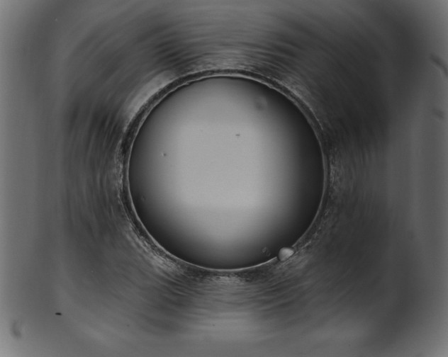 X0000102041119200807181506