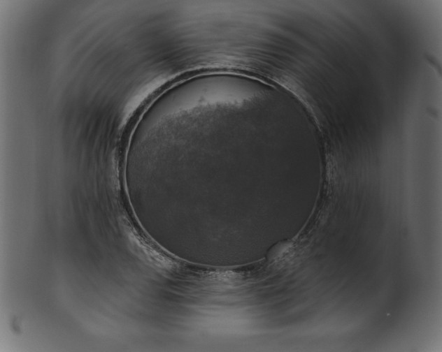 X0000102041120200807181506