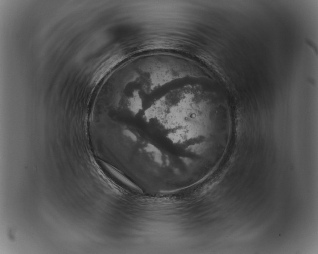 X0000102041121200807181506