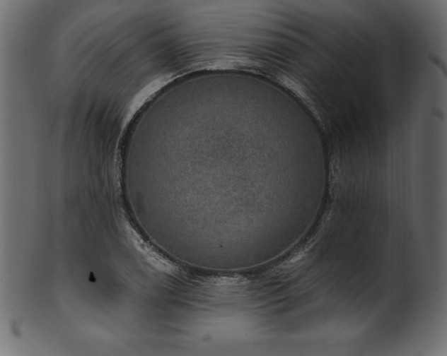 X0000102041122200807181506
