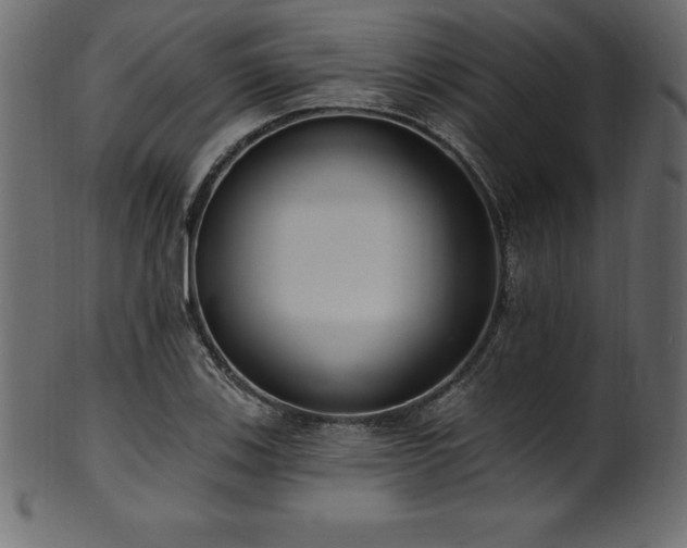 X0000102041123200807181506