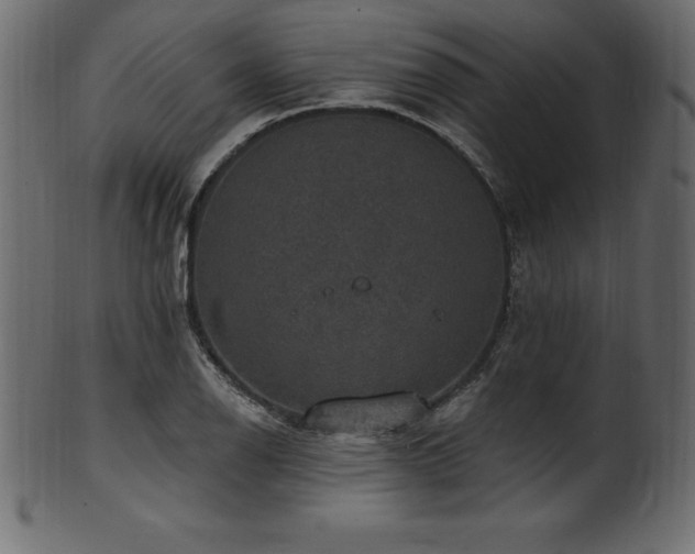 X0000102041126200807181506