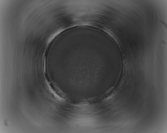 X0000102041127200807181506